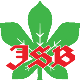 ブラッセル日本人学校同窓会 | JSB (Japanese School of Brussels) Alumni